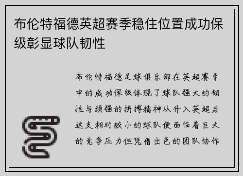 布伦特福德英超赛季稳住位置成功保级彰显球队韧性